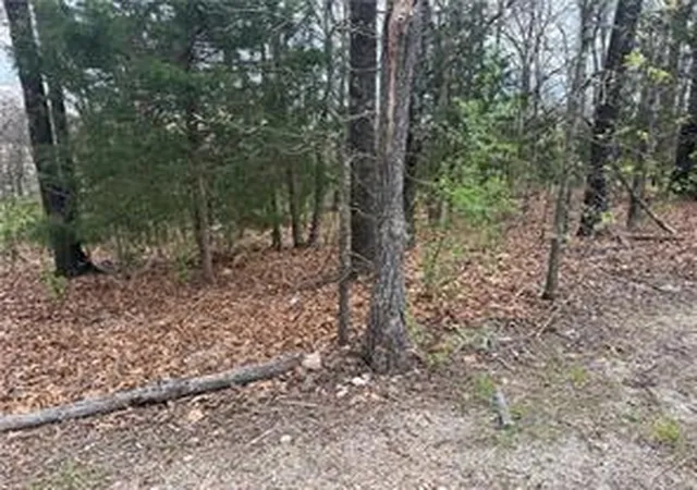 Homes for sale in Ridgedale, MO | Lot 10 Entry Rd, Ridgedale, MO 65739 | MLS# 1351136