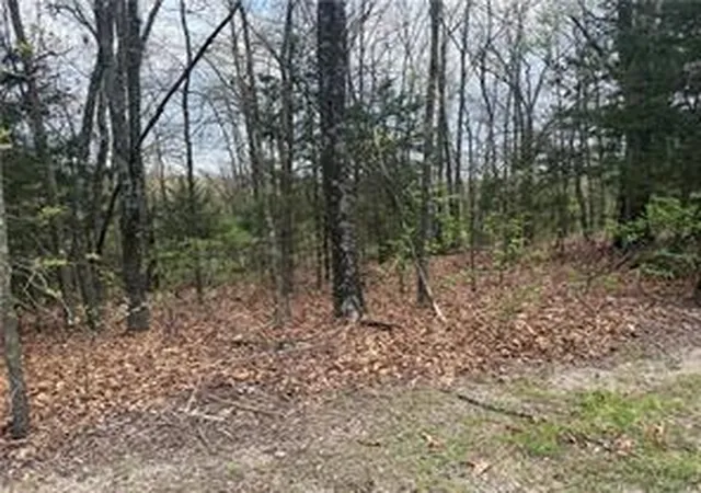 Homes for sale in Ridgedale, MO | Lot 10 Entry Rd, Ridgedale, MO 65739 | MLS# 1351136