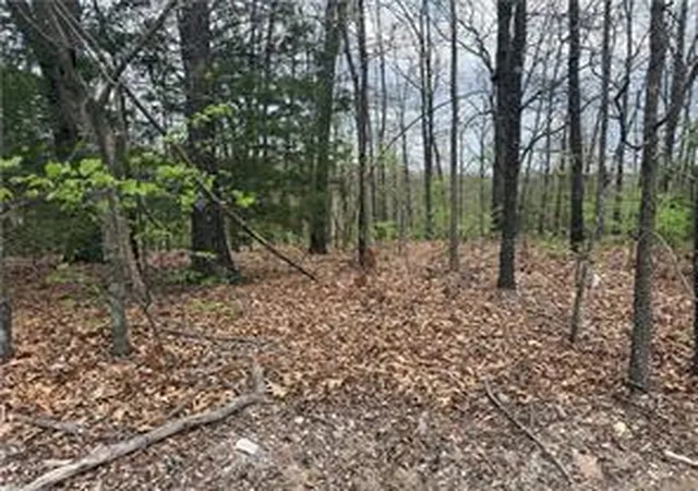 Homes for sale in Ridgedale, MO | Lot 10 Entry Rd, Ridgedale, MO 65739 | MLS# 1351136