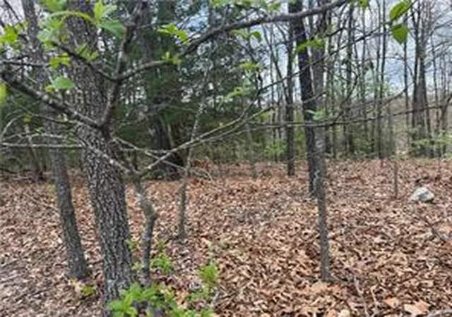 Homes for sale in Ridgedale, MO | Lot 10 Entry Rd, Ridgedale, MO 65739 | MLS# 1351136