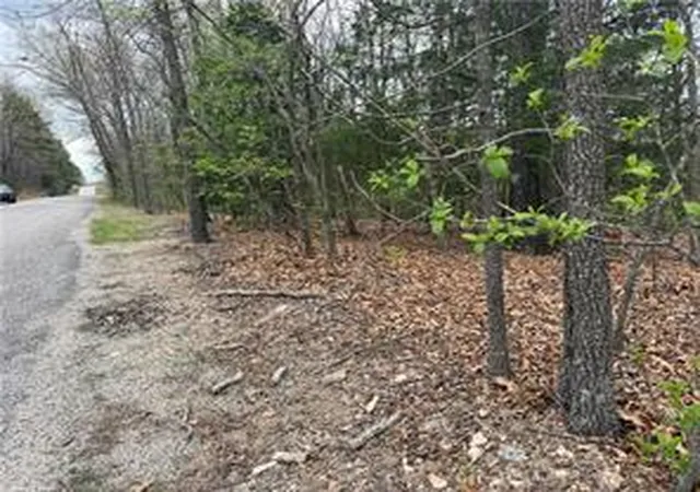 Homes for sale in Ridgedale, MO | Lot 10 Entry Rd, Ridgedale, MO 65739 | MLS# 1351136
