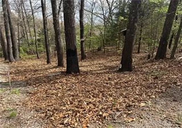 Homes for sale in Ridgedale, MO | Lot 11 And 12 Entry Rd, Ridgedale, MO 65739 | MLS# 1351137