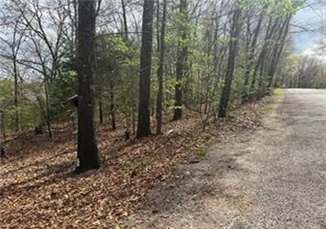 Photo 2 of Sale Pending at Lot 11 And 12 Entry Rd, Ridgedale, MO 65739 | MLS# 1351137 | Listing updated on 2026-07-27