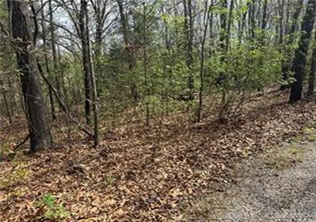 Homes for sale in Ridgedale, MO | Lot 11 And 12 Entry Rd, Ridgedale, MO 65739 | MLS# 1351137