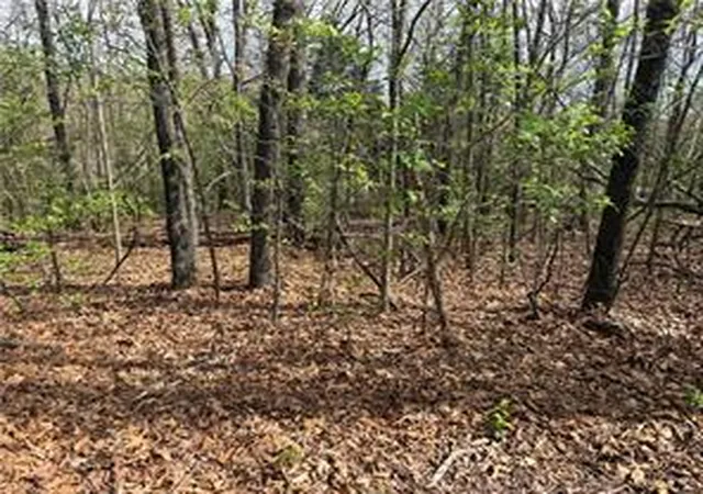 Homes for sale in Ridgedale, MO | Lot 11 And 12 Entry Rd, Ridgedale, MO 65739 | MLS# 1351137