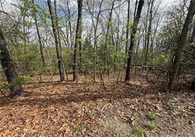 Homes for sale in Ridgedale, MO | Lot 11 And 12 Entry Rd, Ridgedale, MO 65739 | MLS# 1351137