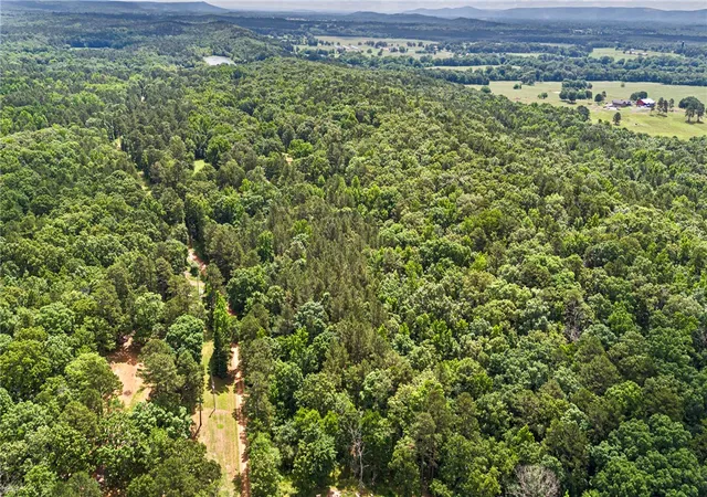 Homes for sale in Havana, AR | Tbd E Cedar Piney Rd, Havana, AR 72842 | MLS# 1347956