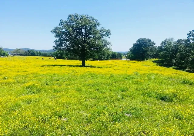 1st image of 1412 County Road 2641, Lamar, AR 72846 | MLS# 1351153