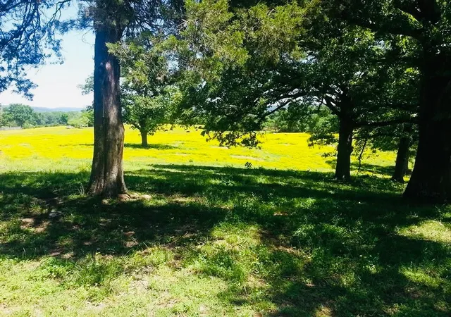 2nd image of 1412 County Road 2641, Lamar, AR 72846 | MLS# 1351153
