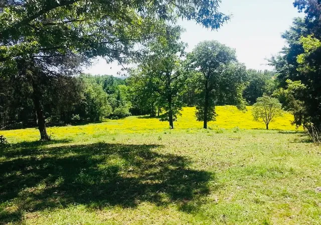 3rd image of 1412 County Road 2641, Lamar, AR 72846 | MLS# 1351153