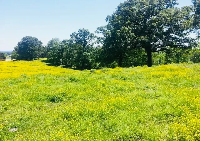 4th image of 1412 County Road 2641, Lamar, AR 72846 | MLS# 1351153