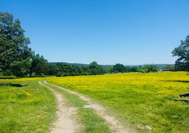 5th image of 1412 County Road 2641, Lamar, AR 72846 | MLS# 1351153