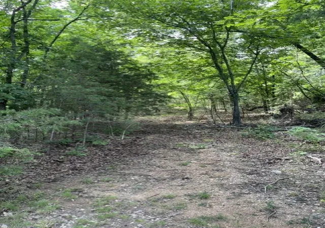 3rd image of Lts 17&18 Mc 8126, Flippin, AR 72634 | MLS# 1351219