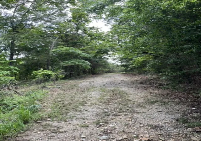 4th image of Lts 17&18 Mc 8126, Flippin, AR 72634 | MLS# 1351219