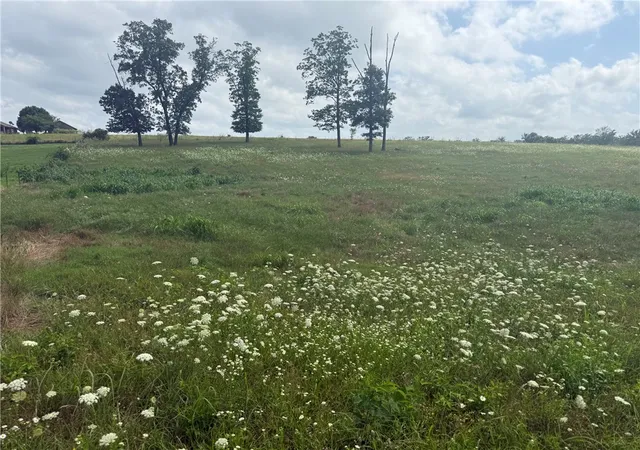 1st image of Tbd Tract 2 Peterson Rd, Gentry, AR 72734 | MLS# 1351385