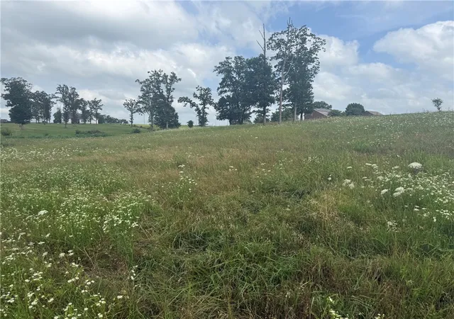 2nd image of Tbd Tract 2 Peterson Rd, Gentry, AR 72734 | MLS# 1351385