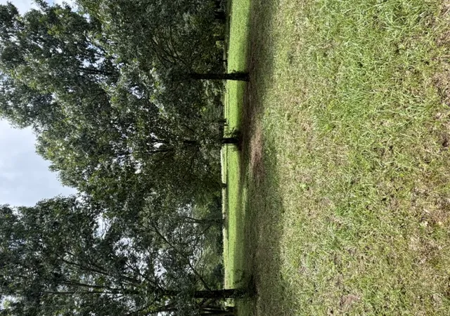 6th image of Tbd Lot 4 Reuben Rd, Bentonville, AR 72713 | MLS# 1351433
