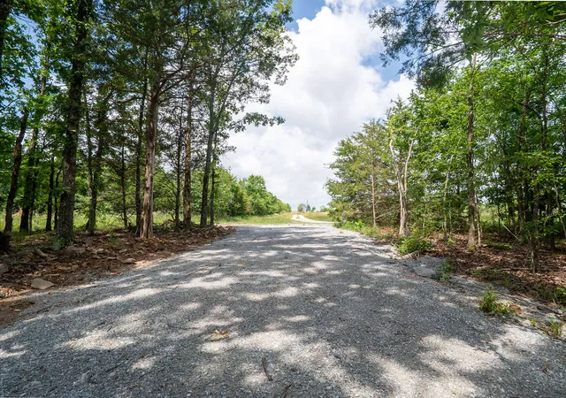 Homes for sale in Elkins, AR | 277 Madison County Road 6124, Elkins, AR 72727 | MLS# 1349155