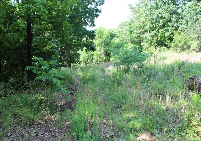 1st image of Blue Mountain Rd, Prairie Grove, AR 72753 | MLS# 1351484