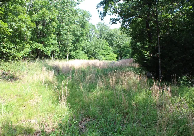 3rd image of Blue Mountain Rd, Prairie Grove, AR 72753 | MLS# 1351484
