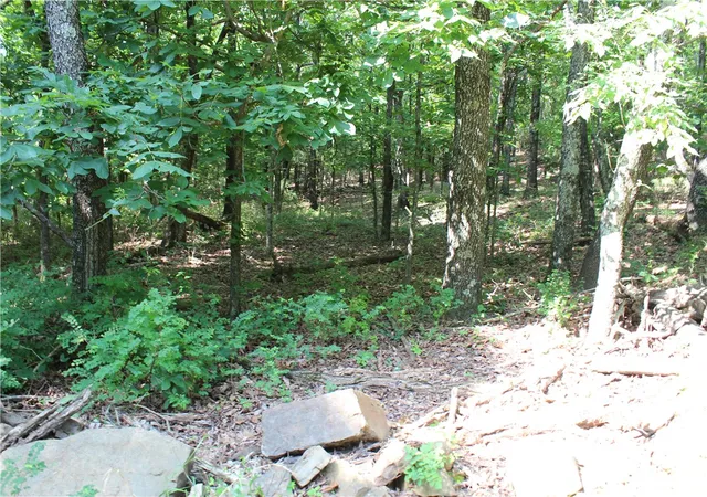 4th image of Blue Mountain Rd, Prairie Grove, AR 72753 | MLS# 1351484