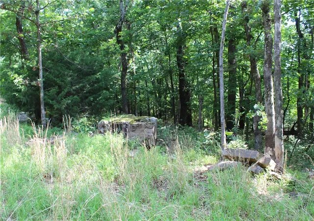 5th image of Blue Mountain Rd, Prairie Grove, AR 72753 | MLS# 1351484