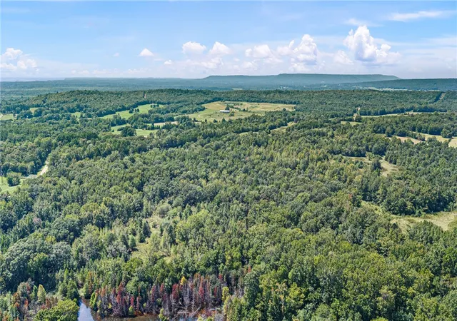Photo 3 of Land for sale at 2083 Highway 247, Hattieville, AR 72063 | MLS# 1351662 | Listing updated on 2026-06-16