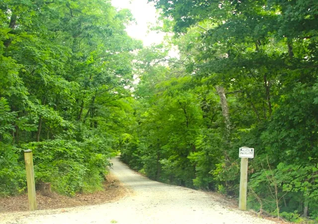 3rd image of 21752 W Hwy 62, Eureka Springs, AR 72631 | MLS# 1351755
