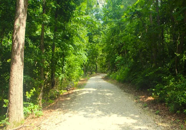 4th image of 21752 W Hwy 62, Eureka Springs, AR 72631 | MLS# 1351755