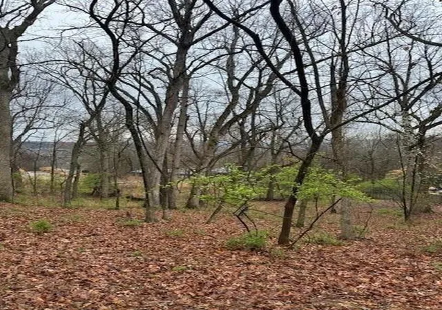 Photo 3 of Land for sale at 84 S Kestrel Dr, Fayetteville, AR 72701 | MLS# 1351804 | Listing updated on 2026-08-27