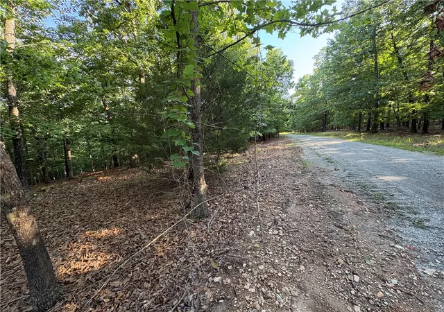 Homes for sale in Yellville, AR | 563-00109-000 Sunrise Ridge Dr, Yellville, AR 72687 | MLS# 1351573