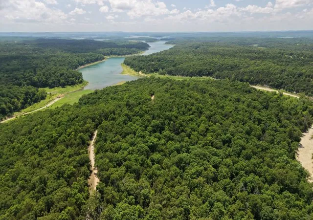 Homes for sale in Oakland, AR | 001 03000 000 Mountain Creek Rd, Oakland, AR 72661 | MLS# 1351865