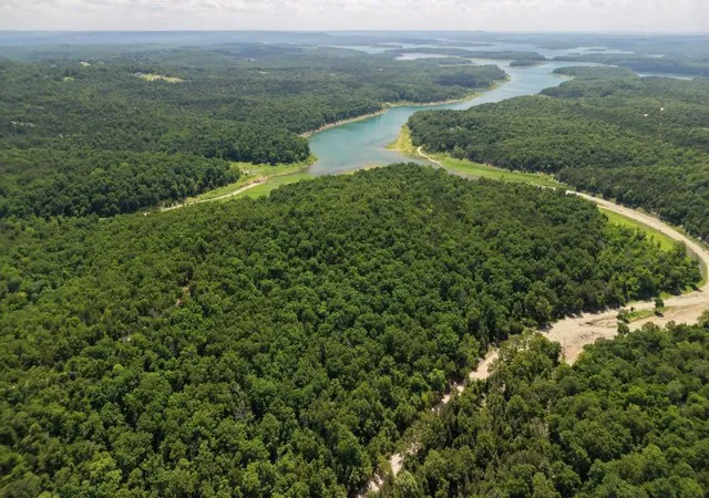 Homes for sale in Oakland, AR | 001-03000-000 Mountain Creek Rd, Oakland, AR 72661 | MLS# 1351865
