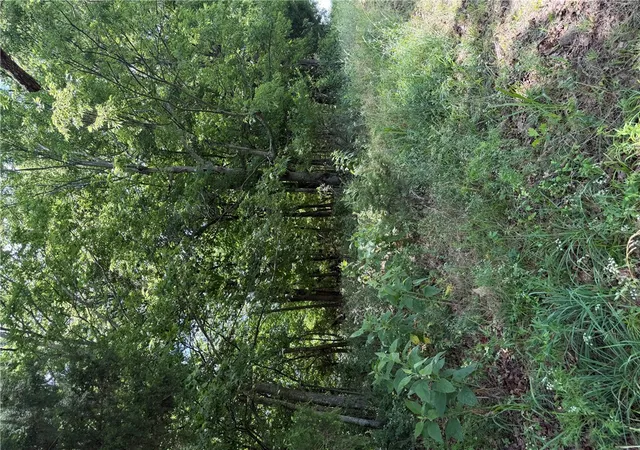 4th image of 108 E Wolfdale Rd, Farmington, AR 72730 | MLS# 1351903