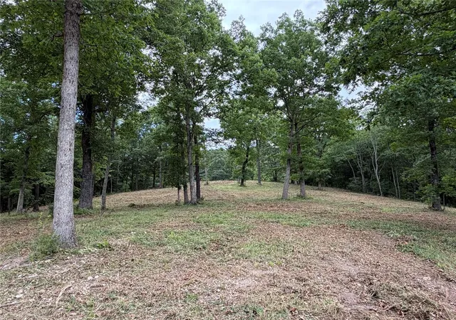 Homes for sale in Marble Falls, AR | 146 Nc 3920, Marble Falls, AR 72648 | MLS# 1351798