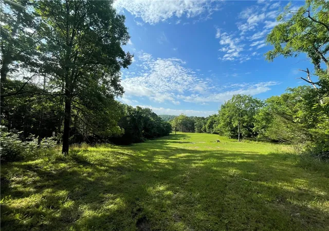Homes for sale in Eureka Springs, AR | Tbd County Road 155, Eureka Springs, AR 72632 | MLS# 1351947