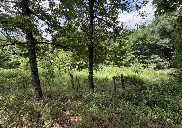 image of 300 Jr Bailey Ln, Dover, AR 72837 | MLS# 1352031
