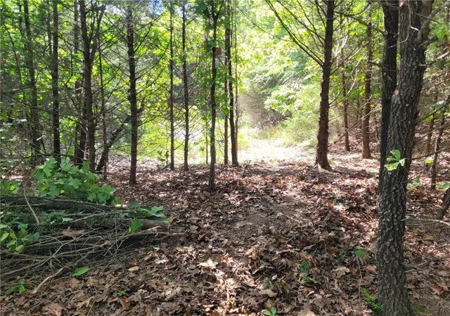 1st image of Tbd Union Star Rd, Winslow, AR 72959 | MLS# 1352061