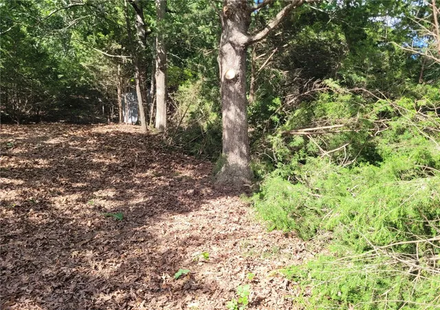 3rd image of Tbd Union Star Rd, Winslow, AR 72959 | MLS# 1352061