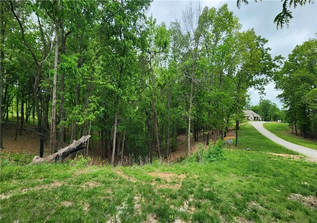 Photo 6 of Land for sale at Tbd Hwy 12 & Lola Jeane Ln, Rogers, AR 72756 | MLS# 1352098 | Listing updated on 2026-06-16