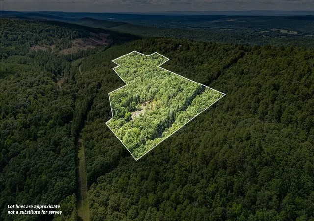 2nd image of Tbd Nichols Ln, Delaware, AR 72835 | MLS# 1352208