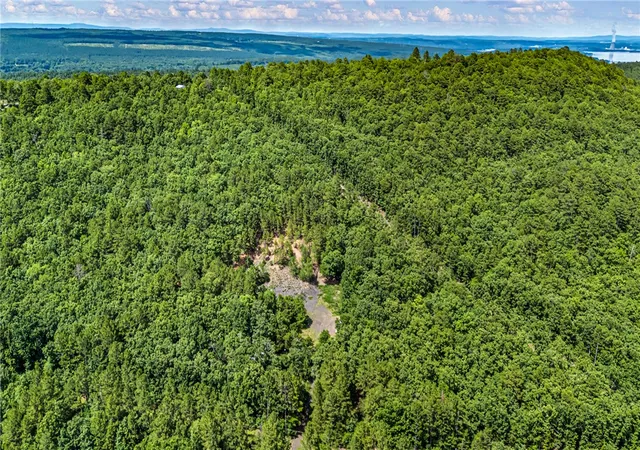 Photo 3 of Land for sale at Tbd Nichols Ln, Delaware, AR 72835 | MLS# 1352208 | Listing updated on 2026-07-29