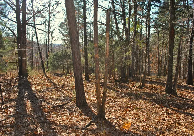 Homes for sale in Rogers, AR | 18178 Railroad Cut Rd, Rogers, AR 72756 | MLS# 1352253