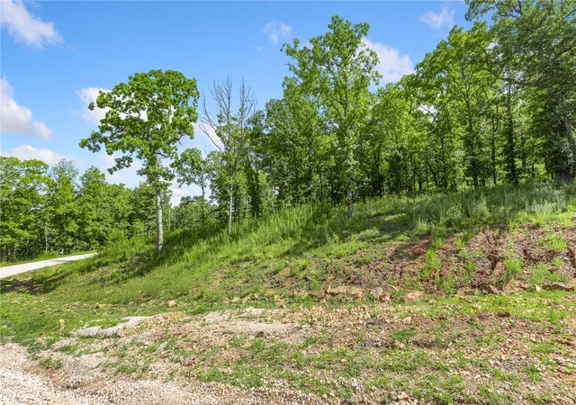 Homes for sale in Harrison, AR | Lot 22 Restore Ridge, Harrison, AR 72601 | MLS# 1352110