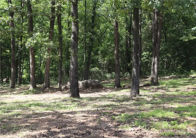 Homes for sale in Elkins, AR | 14810 Goshen Tuttle Rd, Elkins, AR 72727 | MLS# 1352237