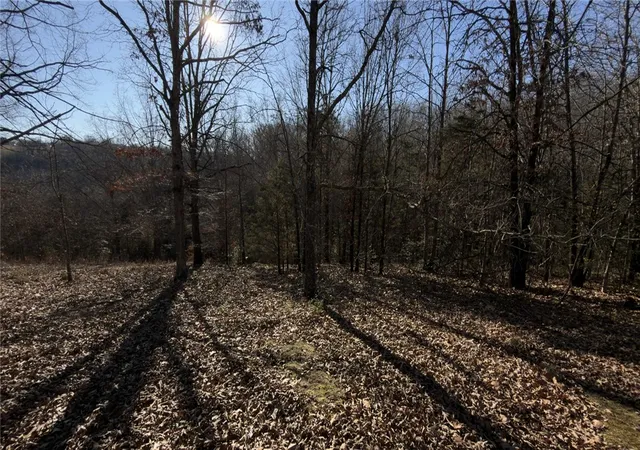8th image of 21753 Chinquapin Rd, Springdale, AR 72764 | MLS# 1352392