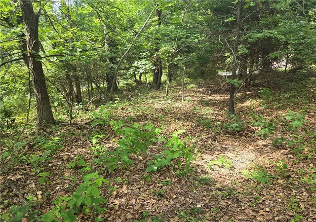 Photo 3 of Land for sale at Tbd Witherby Dr, Bella Vista, AR 72714 | MLS# 1352245 | Listing updated on 2026-07-03