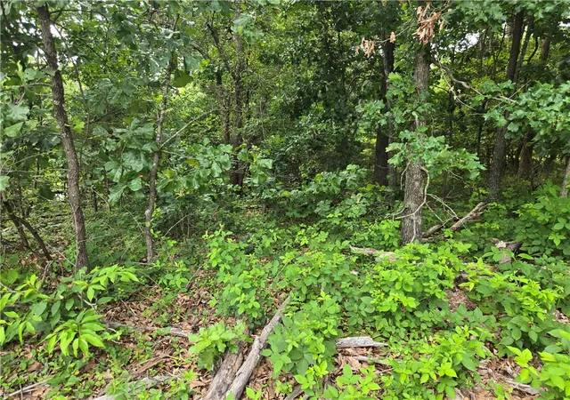 Photo 4 of Land for sale at Tbd Witherby Dr, Bella Vista, AR 72714 | MLS# 1352245 | Listing updated on 2026-07-03