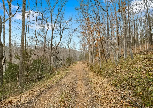 25th image of Tbd Sallie Dr, Rogers, AR 72756 | MLS# 1352650