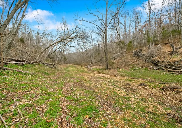 5th image of Tbd Sallie Dr, Rogers, AR 72756 | MLS# 1352650